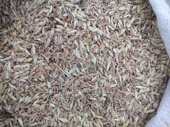 Постійно купую зерновідходи та некондицію - фото № 1