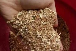 Купуємо відходи с.г. культур, некондицію с/г культур - фото № 1