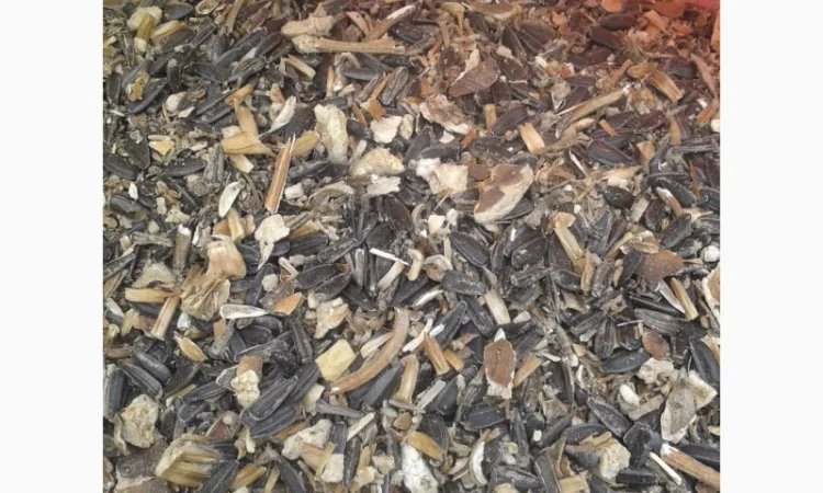 Закупаем зерноотходы, некондицию - фото № 1