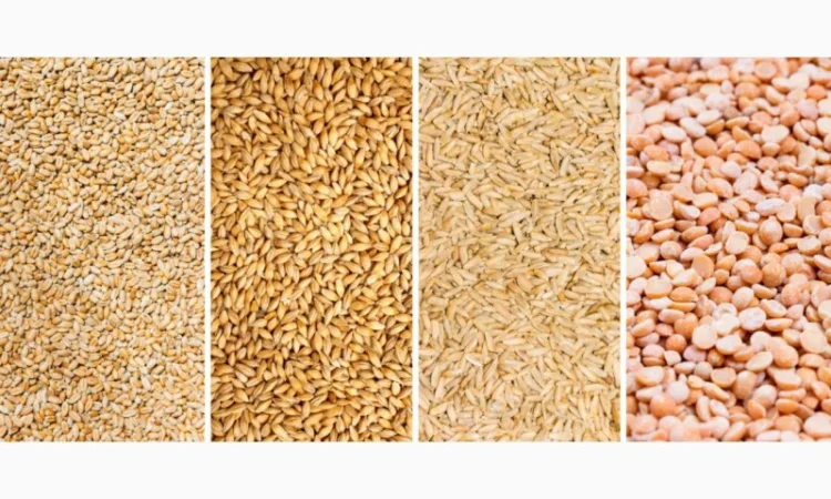 Куплю зерно, Зерновідходи, некондицію - фото № 1