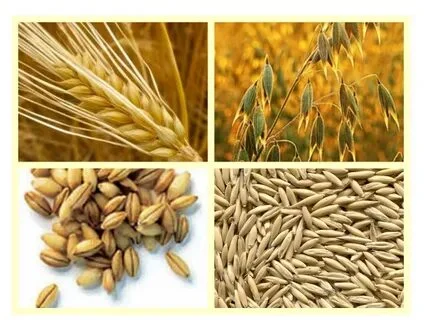 Закуповую зерновідходи по Україні - фото № 1