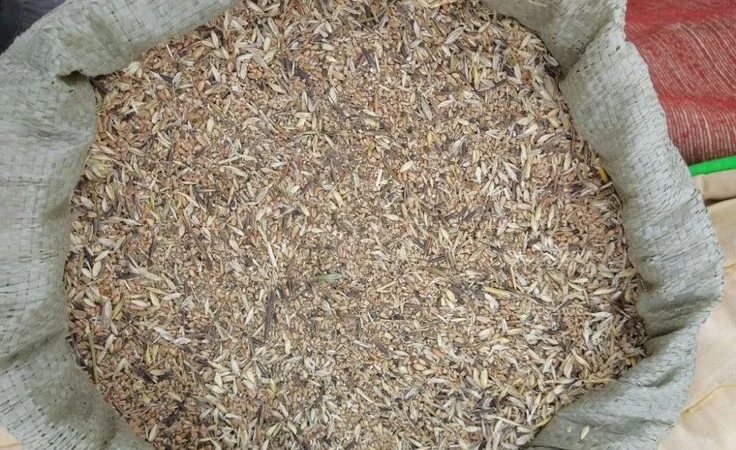 Куплю некондиционное зерно. Отходы зерновых, бобовых, масличных - фото № 1