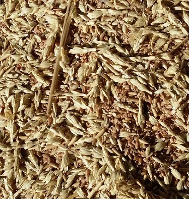 Куплю отходы кукурузы, пшеницы, сои, подсолнечника, ячменя, проса - фото № 1