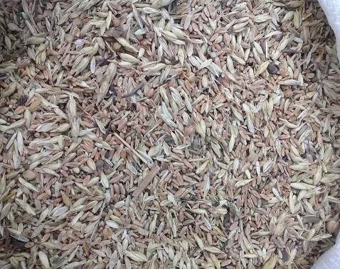 Куплю некондицию и зерноотходы. Самовывоз - фото № 1