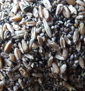 Зерновідходи зернових, бобових, олійних. Некондиція. Куплю - фото № 1