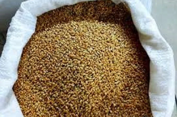 Куплю зерновідходи, некондицію з самовивозом - фото № 1