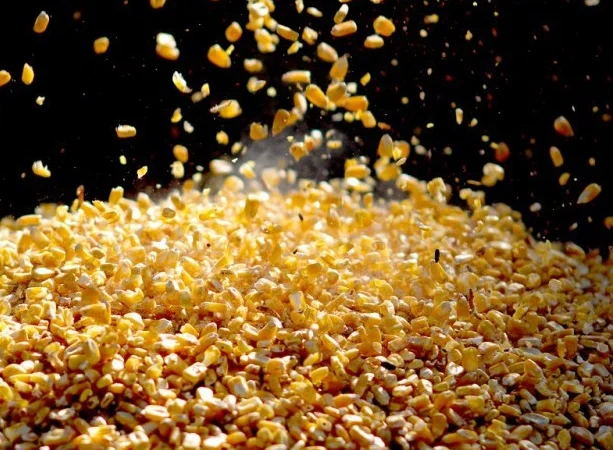 Куплю бобові - фото № 1