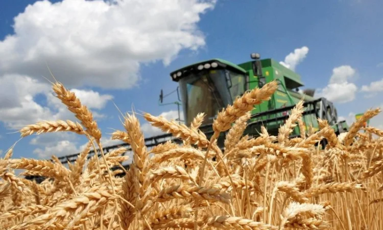 Постійно купуємо зерновідходи - фото № 1