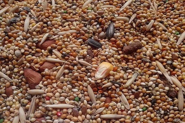 Некондиція - фото № 1