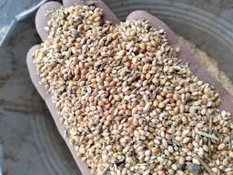 Купуємо зернові відходи, некондицію. Працюємо з посередниками - фото № 1