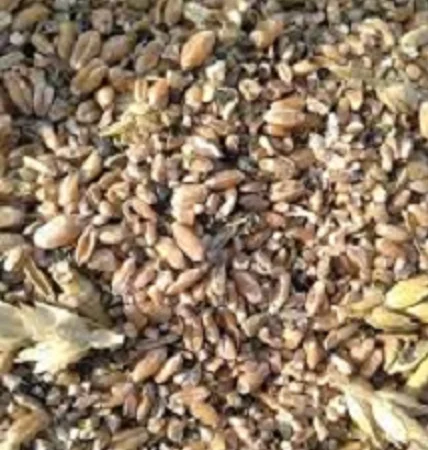 Куплю відходи с.г. культур. Купуємо зерновідходи - фото № 1