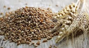 Закуповую некондицію, зерновідходи, прострочений посівний матеріал - фото № 1