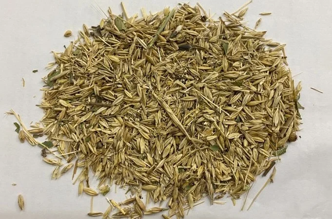 Закуповуємо зерновідходи. Працюємо з посередниками - фото № 1