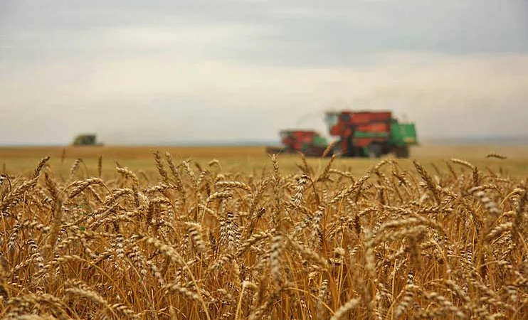 Купуємо відходи с/г культур та некондицію - фото № 1