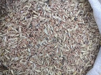 Постійно купуємо відходи с/г культур та некондицію - фото № 1