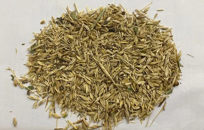 Закупаем зерноотходы, некондицию сельскохозяйственных культур - фото № 1