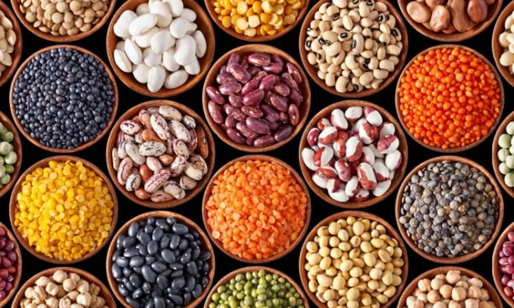 Купимо : ріпак, сою куку соняшник пшеницю сорго просо горох та інші культури - фото № 1