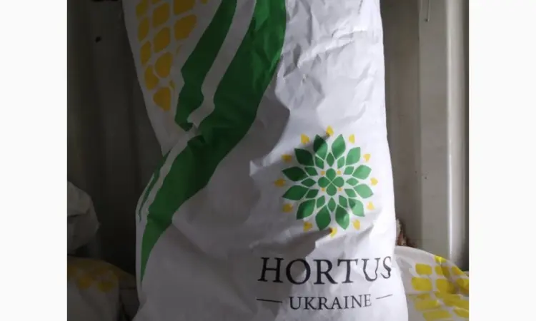 Продам посівну кукурудзу та соняшник - фото № 1