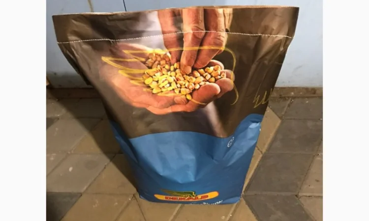 Продам посівну кукурудзу та соняшник - фото № 2