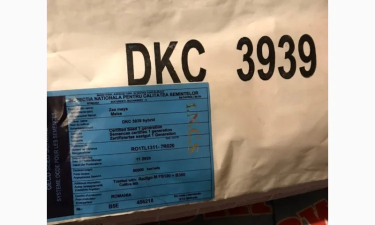 Продам посівну кукурудзу та соняшник - фото № 3