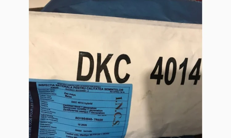 Продам посівну кукурудзу та соняшник - фото № 4