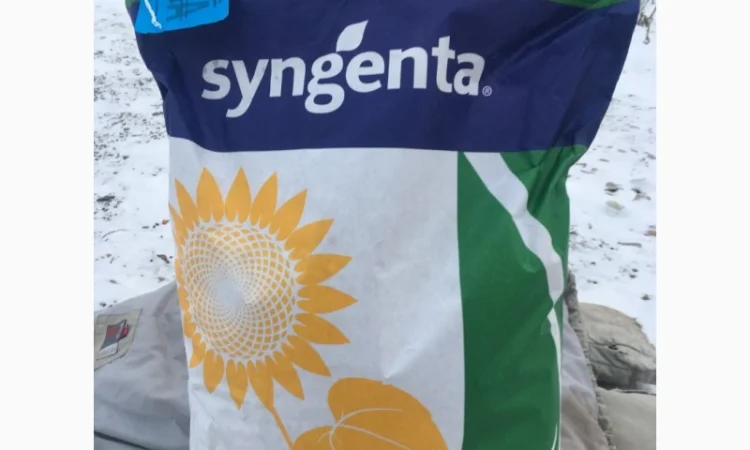 Продам посівну кукурудзу та соняшник - фото № 5