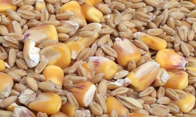 Куплю проблемное зерно - фото № 1