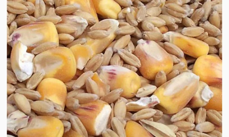 Зерновые отходы - фото № 1