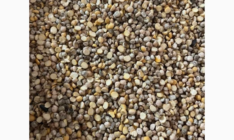 Кукурудза горох соя нут зернові відходи від 20 тон - фото № 1