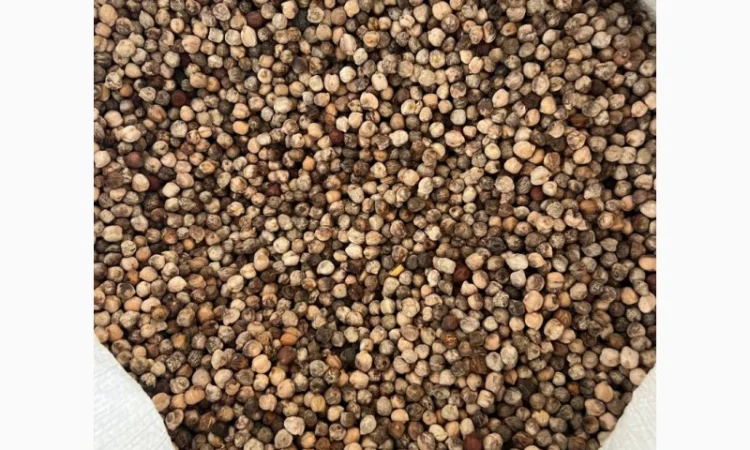 Кукурудза горох соя нут зернові відходи від 20 тон - фото № 3