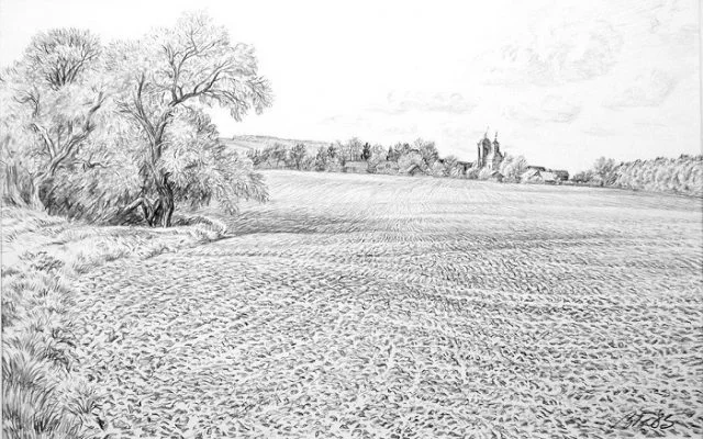 Закупаем ЯЧМЕНЬ и ПШЕНИЦУ а так же ИХ ПОЛЕЗНЫЕ ОТХОДЫ (половинки).Оплата сразу - фото № 1