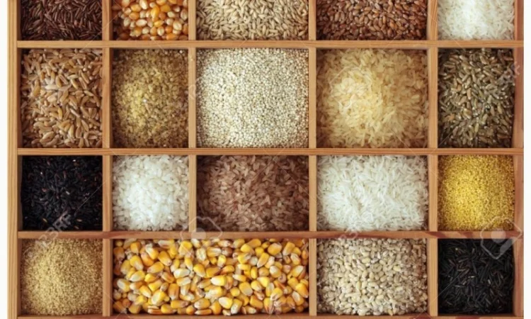 Закупаем зерновые и масличные культуры любого качества - фото № 1