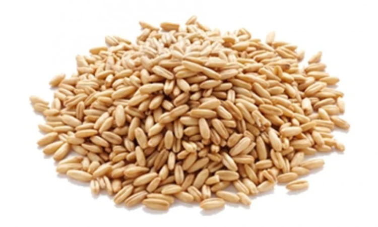 Фирма закупает зерновые - фото № 1