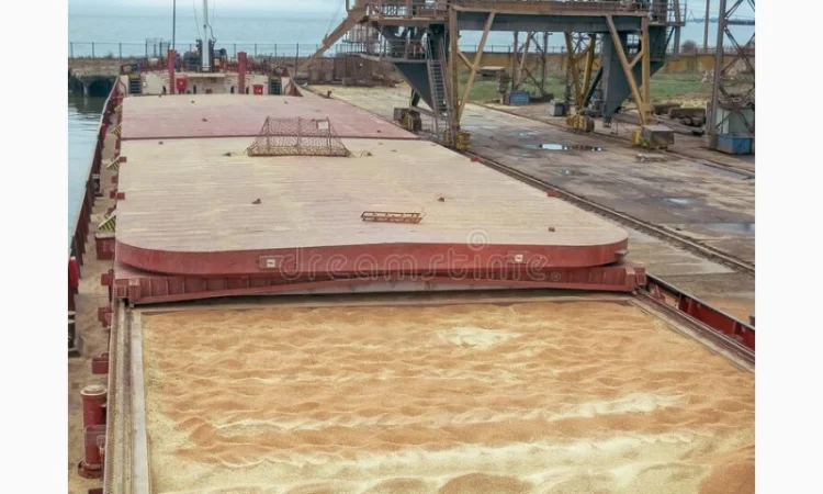 Принимаем Ячмень Пшеницу Кировоград 2024 новий урожай - фото № 1