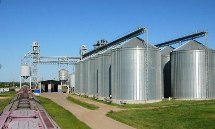 Принимаем Ячмень Пшеницу Нового урожая 2024 - фото № 1