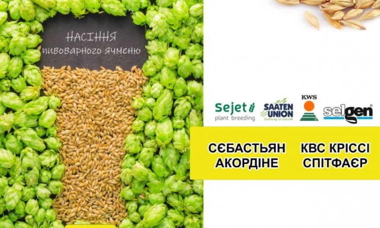 Продаж насіння ярого ячменю та пшениці, сої та гороху - фото № 1