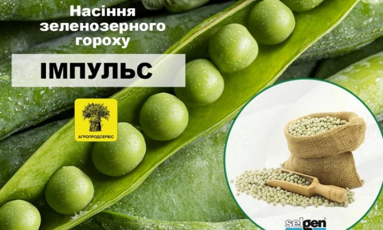 Продаж насіння ярого ячменю та пшениці, сої та гороху - фото № 2