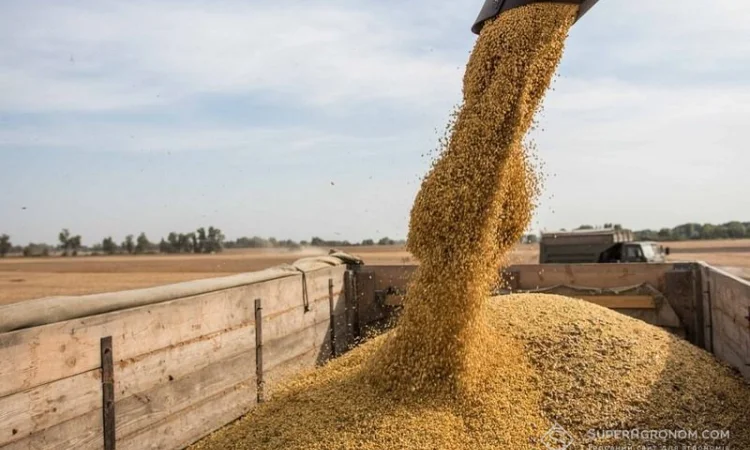 Закупка зернових сої та соняшника з місця - фото № 1
