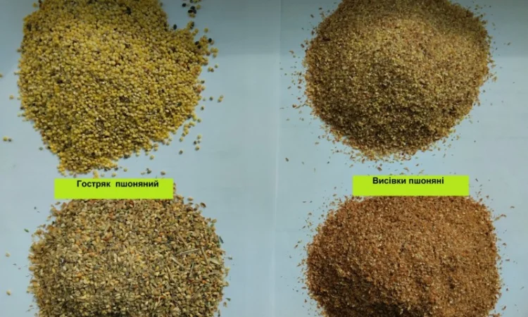 Висівки пшеничні, горохові; висівка і товч ячмінна, борошно горохове; січка кормова горох - фото № 9