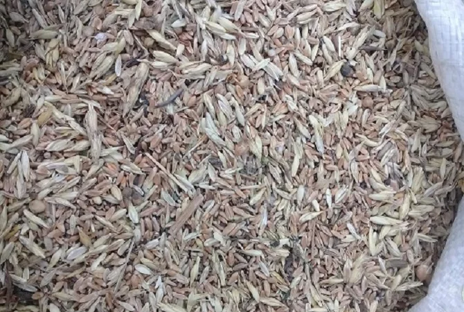 Постійно купуємо відходи с.г. культур - фото № 1