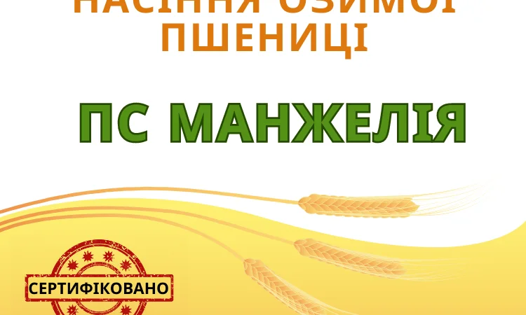 Озима пшениця з високою врожайністю - фото № 1