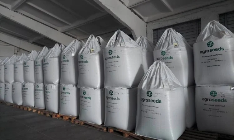 Елітне насіння озимої пшениці - фото № 3