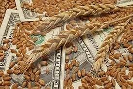 Куплю пшеницу - фото № 1