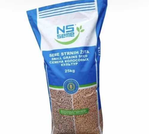 Пшениця озима НС 40 С на продаж - фото № 1