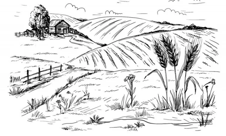 Проблемная Пшеница (проросшая) в покупке - фото № 1