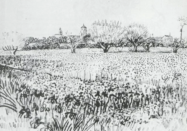 Покупка ПРОБЛЕМНОЇ ПШЕНИЦІ з самовивозом - фото № 1