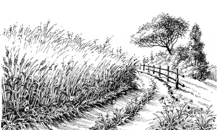 Закупка Ярой Твердой Пшеницы на переработку - фото № 1