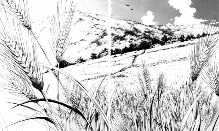 Закупівля проблемної пшениці (пророслої) - фото № 1