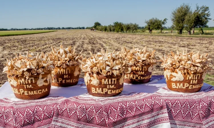 Реалізуємо пшеницю від виробника (третікале, ячмінь, яра пшениця) - фото № 12