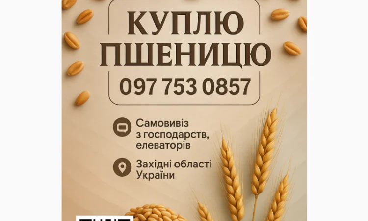 Купую пшеницю фураж - фото № 1